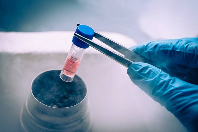 Metoda namnażania komórek macierzystych uznana przez FDA za jeden ze standardów leczenia