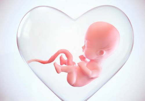 Etapy ciąży- jak przebiega rozwój dziecka?