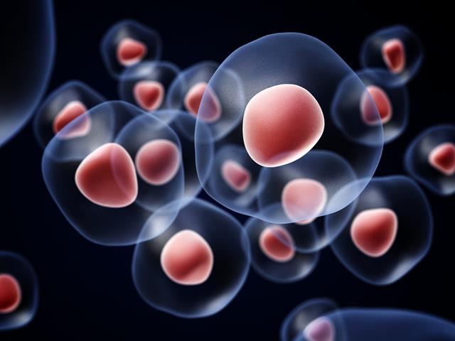 Krew pępowinowa jako najlepsze źródło komórek macierzystych do przeszczepień