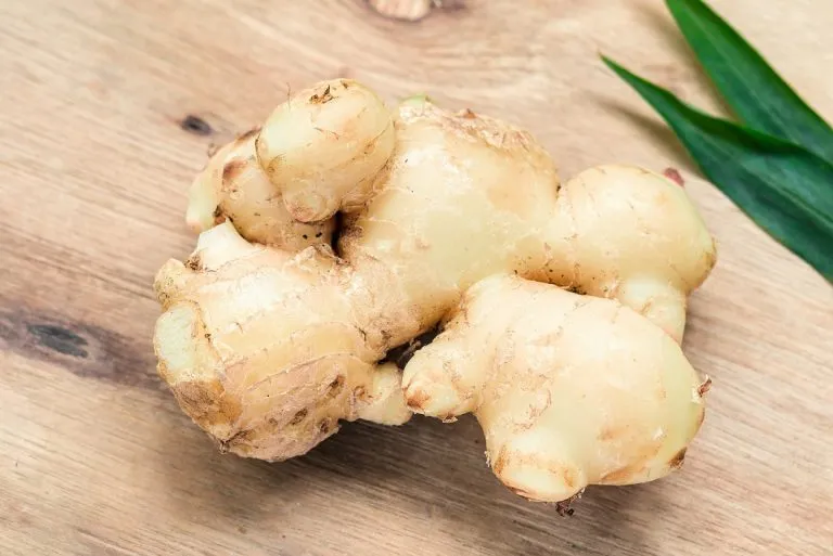 Ginger in pregnancy-is it allowed?
