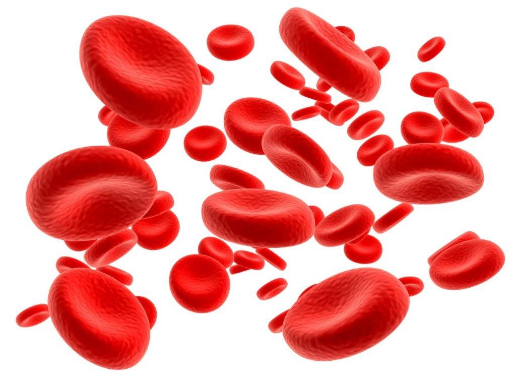 First autologous use of cord blood in Poland