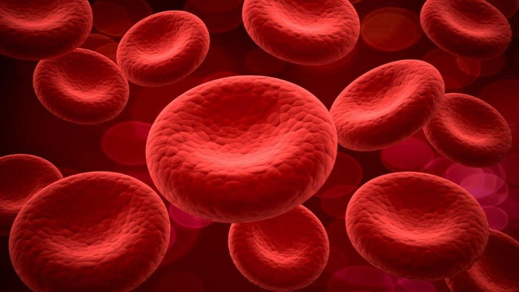 Randomized Phase II clinical trial on the safety and efficacy of intravenous umbilical cord blood in the treatment of children with autism spectrum disorders.