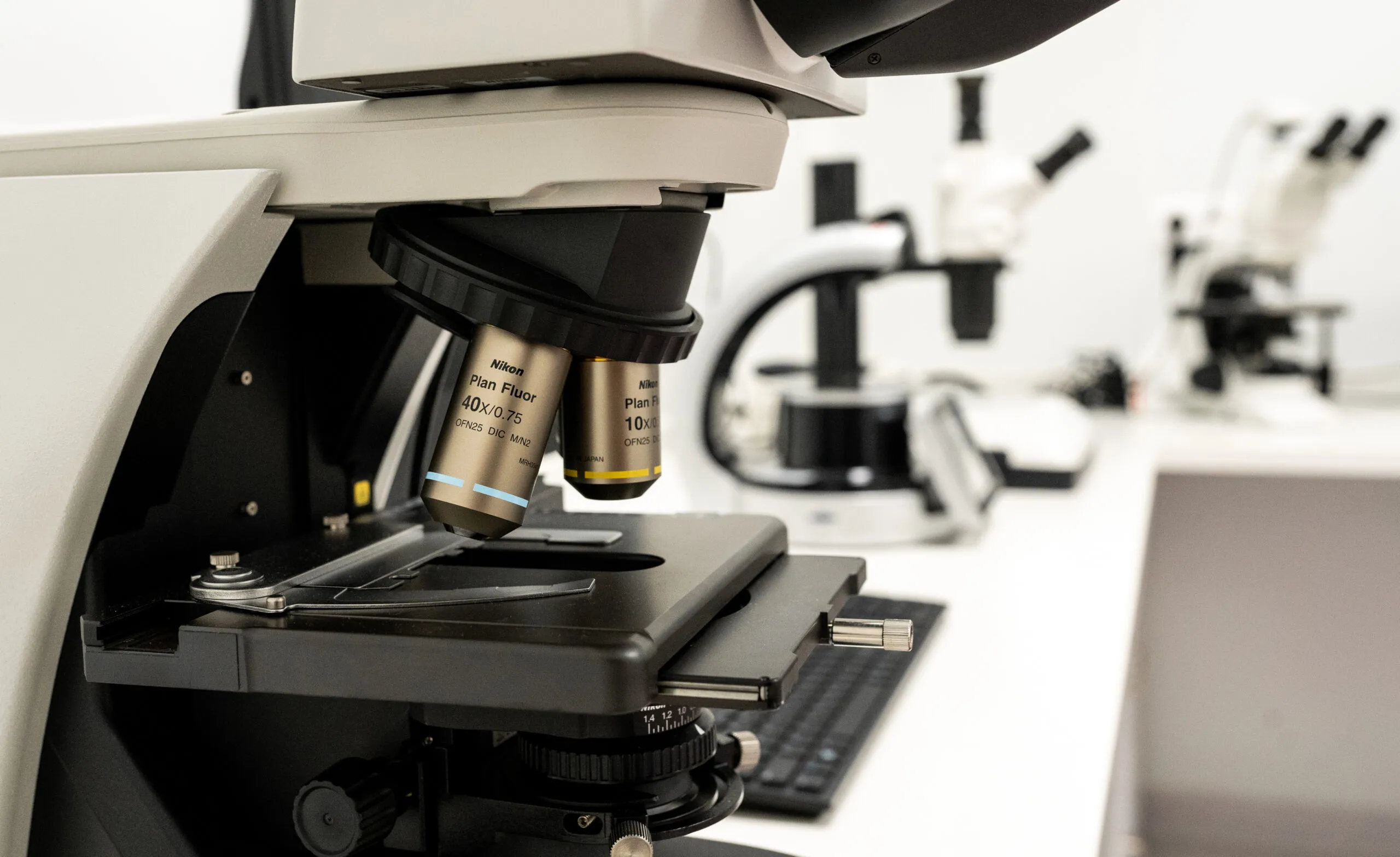 Namnażanie krwi pępowinowej dostępne w Europie